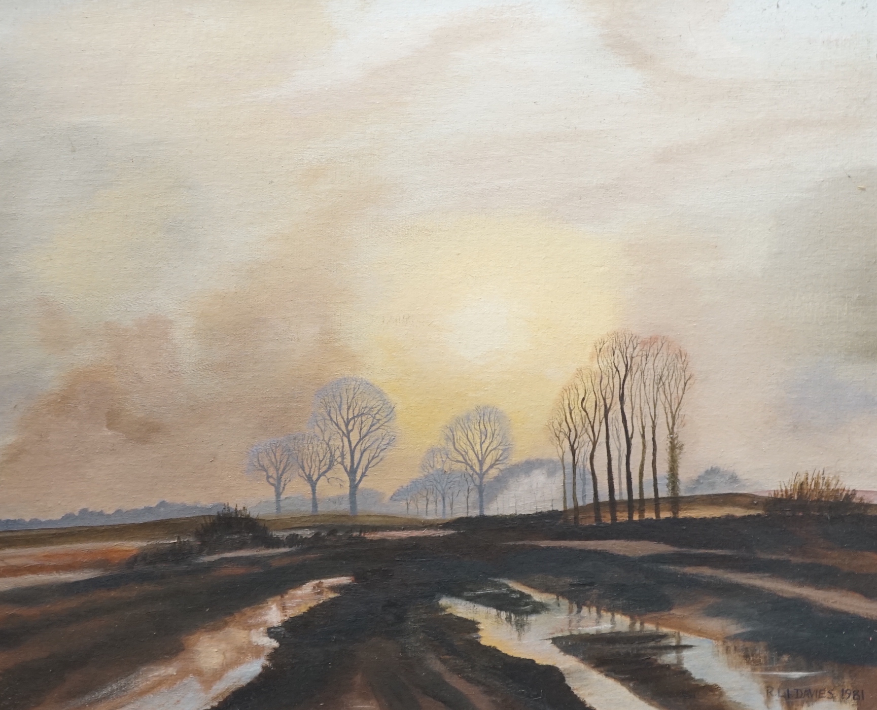 R.L.I. Davies, oil on canvas board, Winter landscape, signed and dated 1981, 50 x 60cm